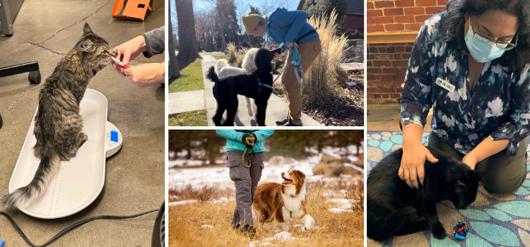 Exclusive Early-Bird Savings Are Available Now