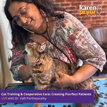 Creating Purrfect Patients: Cooperative Cat Care LIVE with Dr. Valli Parthasarathy