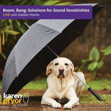 Boom, Bang! Solutions for Sound Sensitivities LIVE with Debbie Martin