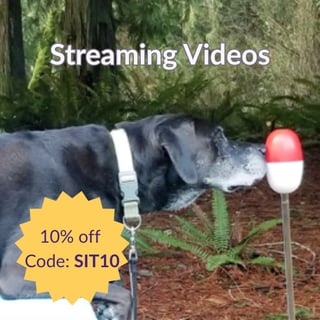 Save 10% on Streaming Videos with code: SIT10