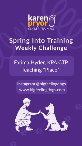 Spring Into Training Weekly Challenge: Fatima Hyder Teaching "Place"